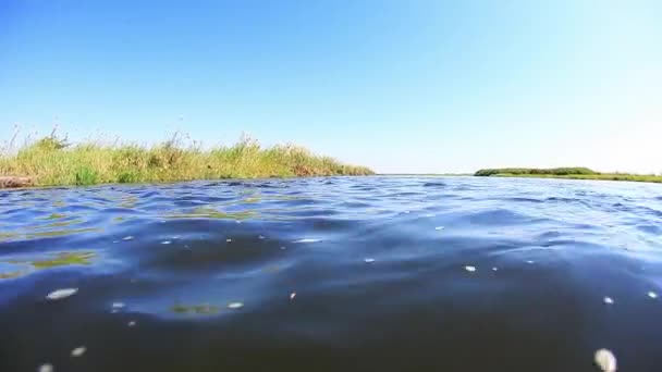 Vista Bajo Ángulo Del Río Chobe Canal Lateral Hacia Río — Vídeo de stock