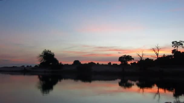 Chobe River View Small Dedicated Photography Boat Covering Kasane Serondela — Stok video