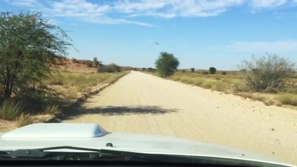 Pohled Kalaharské Polní Cesty Přes Safari Kgalagadi Přeshraničním Parku Normálního — Stock video