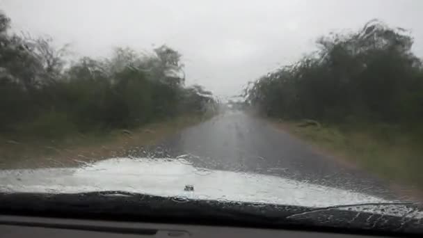 Vista Desde Interior Vehículo Safari Las Carreteras Asfaltadas Pavimentadas Alrededor — Vídeo de stock