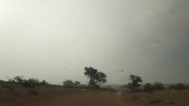 Kgalagadi跨国界公园Kalahari沙漠公路上的雨和洪水景象 — 图库视频影像