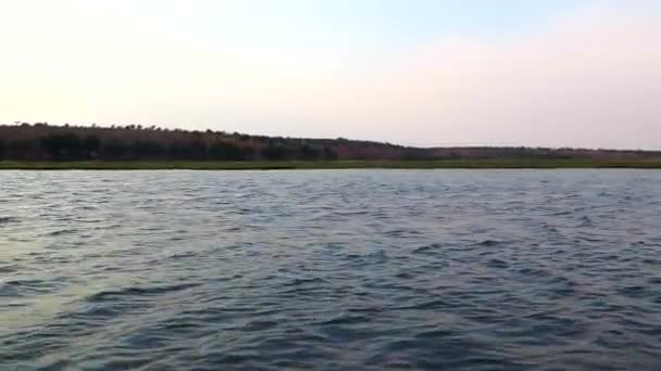 Chobe River View Small Dedicated Photography Boat Covering Kasane Serondela — Stok video