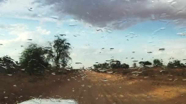 Kgalagadi Transfront ParkのKalahariの砂の道路に沿って雨と洪水のサファリ車の中からの眺め — ストック動画