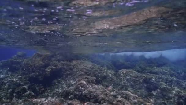 Undervattensfoto Vågor Som Krossas Stenar Medelhavet Skjuten Slow Motion — Stockvideo