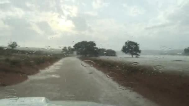 Vista Dall Interno Veicolo Safari Della Pioggia Delle Inondazioni Lungo — Video Stock