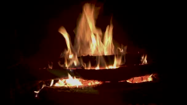 Eine Brennende Feuerstelle Mit Einem Guten Starken Feuer — Stockvideo