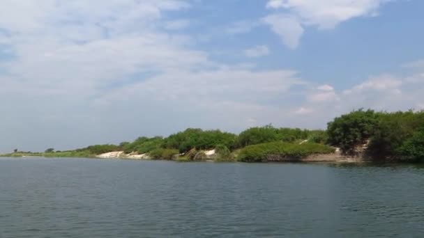 ザンビアの景色を望むナンビア側に沿ってザンベジ川のかもしれない午後のクルーズ 夏と午後遅くにリラックスして景色を楽しむために — ストック動画