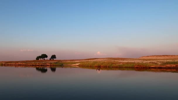 Een Boottocht Langs Namibische Kant Van Zambezi Rivier Zomer Caprivi — Stockvideo