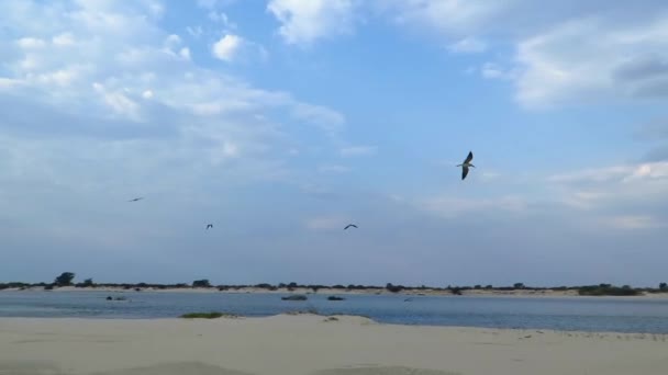 Après Midi Chaud Sur Banc Sable Sur Puissant Fleuve Zambèze — Video