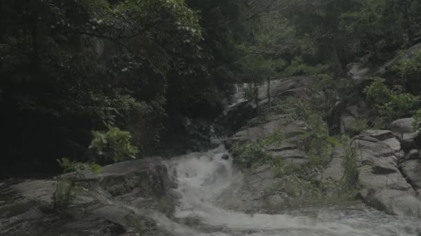 Betrachten Sie Den Wasserfall Wald Während Die Zeit Vergeht Zeitraffer — Stockvideo