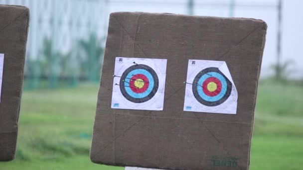 Zoom Shot Target Archery — Stockvideo