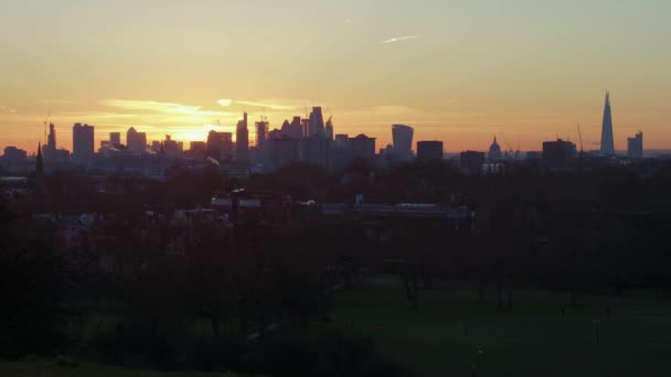 伦敦的天际线从里斯公园的樱草山升起 著名的地标包括圣保罗大教堂和伦敦市的摩天大楼 — 图库视频影像