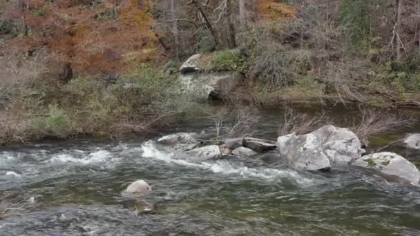 Drone Shot River Flowing Rocks Late Fall Western North Carolina — Stockvideo