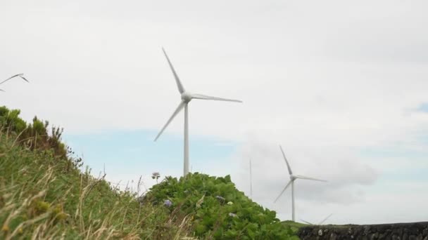 Two Wind Turbines Green Field Azores — Stock Video