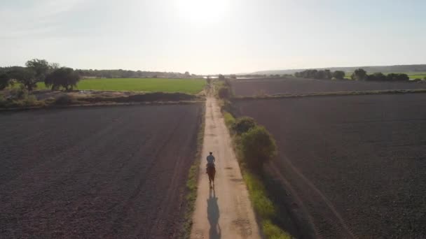 Drone Footage Man Riding Horse Field River — Vídeo de Stock