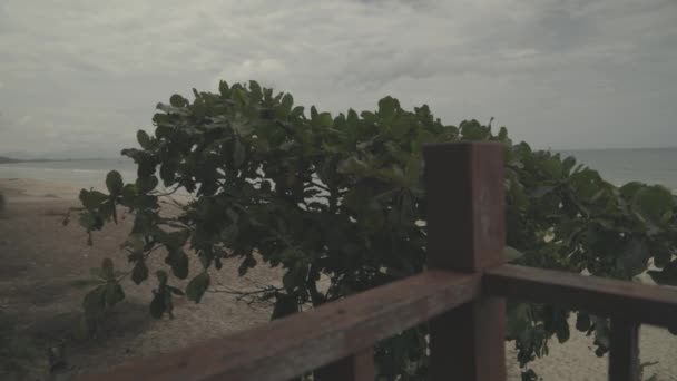 Lookin Plans Clouds Beach Thailand — Video Stock