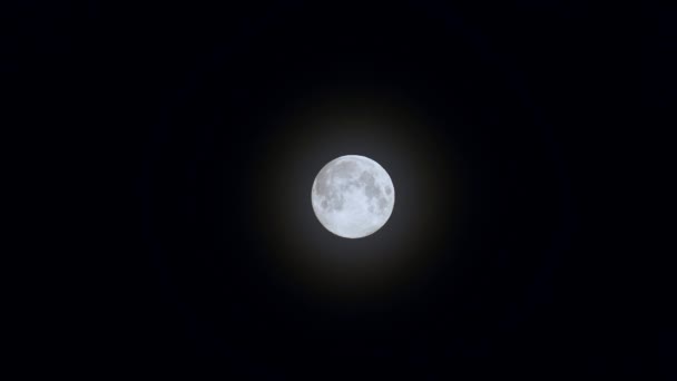 Full Moon Set Black Night Sky Telephoto Shot Moon Full — Video