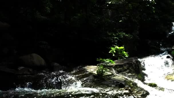 Looking Waterfall Thailand — Stock Video