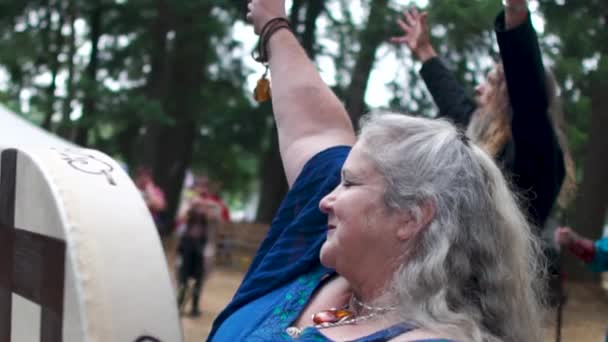 Viking Ceremony Culminates Enthusiastic Raising Arms — Stok video