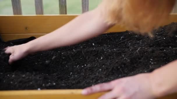 Hands Moving Dirt Fertilizer — Vídeo de Stock