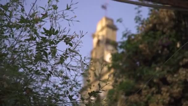 Church Revealing Some Bushes Flowers Sun Shining Tower Zoomed Shot — Video Stock