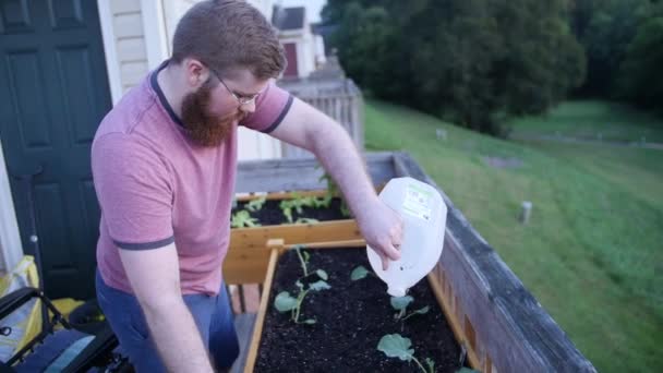 Young Man Watering Plants — Vídeo de Stock