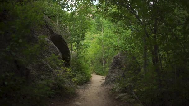 Forward Movement Shot Going Hiking Trail Beautiful Light Rocky Mountain — 비디오