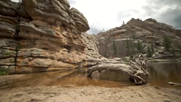 Slider Shot Driftwood Cool Rock Formations Gem Lake Rocky Mountain — Stockvideo