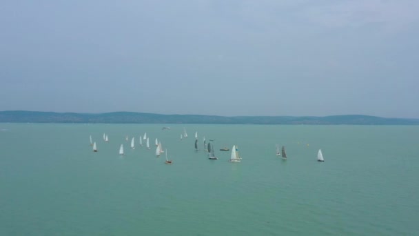 Lot Sailing Ships Lake Balaton Recorded Dji Mavic Pro Uhd — Stock video