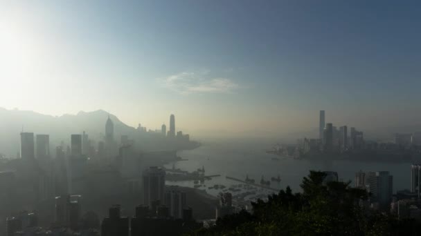 High View Overlooking Victoria Harbour Including Both Hong Kong Island — ストック動画
