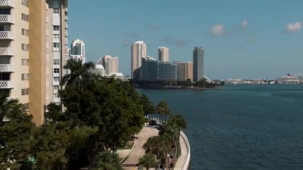 Cinematic Aerial Reveal Downtown Miami Waterfront Buildings Palm Tree Road — Stockvideo