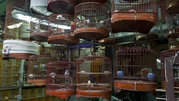 Assorted Bird Cages Sale Yuen Bird Garden Mongkok Kowloon Hong — Wideo stockowe