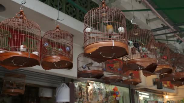 Assorted Bird Cages Sale Yuen Bird Garden Mongkok Kowloon Hong — Αρχείο Βίντεο