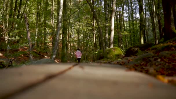 Camera Sitting Ground Filming Hiker Who Walks Away Camera Foot — Stock Video