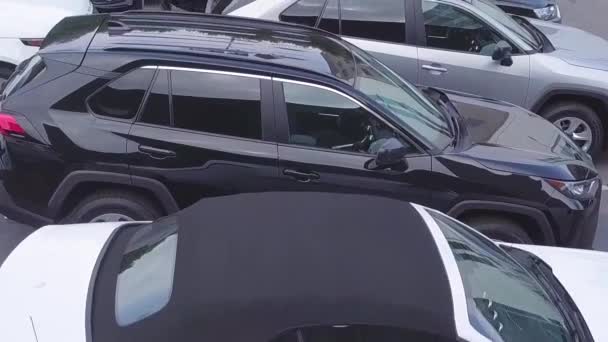 Cars Lined Car Dealership — Vídeos de Stock