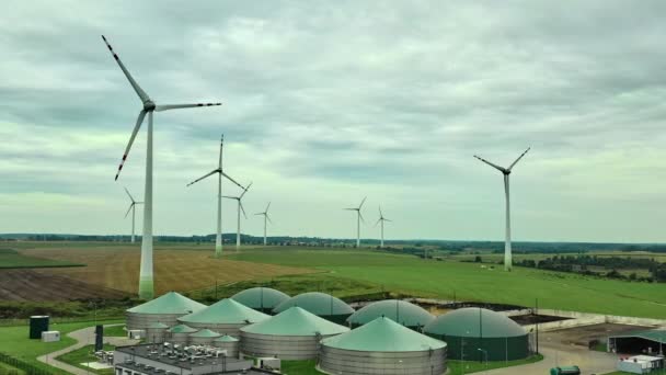 Area Wind Power Station — Stockvideo