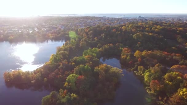 Colorful Aerial View Prospect Park Lake Beautiful Autumn Trees Revealing — 图库视频影像