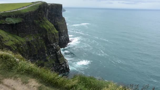 Birds Flying Cliffs Moher Atlantic Ocean Ireland Wide Shot — Stockvideo