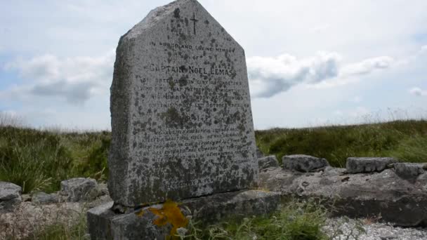 Single Large Old Tombstone Middle Grass Field — Wideo stockowe