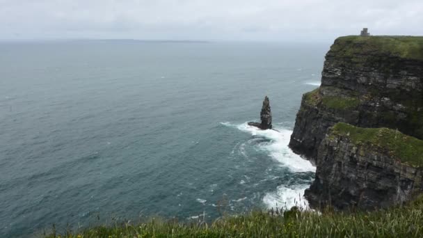 Edge Cliffs Moher Atlantic Ocean Ireland — Αρχείο Βίντεο
