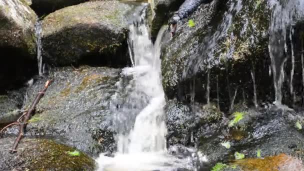 Stream Water Flowing Peacefully Mossy Rocks — Vídeo de Stock