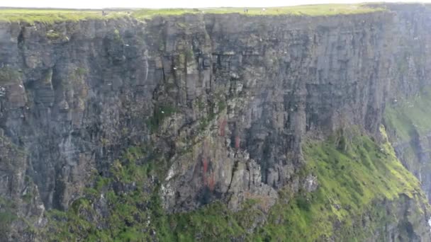 Birds Flying Cliffs Moher Ireland Wide Shot — Αρχείο Βίντεο