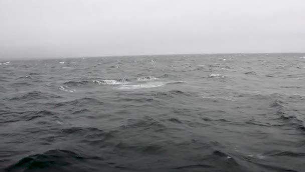 Open Ocean Cloudy Stormy Day Rough Waves — стокове відео