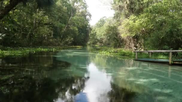 Natural Springs Kelly Park Orlando Next Apopka Florida — стоковое видео
