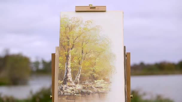 Painting Trees Sits Front Lake Out Focus — ストック動画