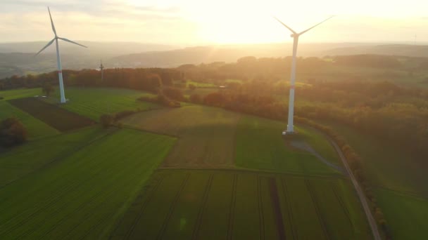 Drone Flight Green Fields Wind Turbines Sunrise — стоковое видео