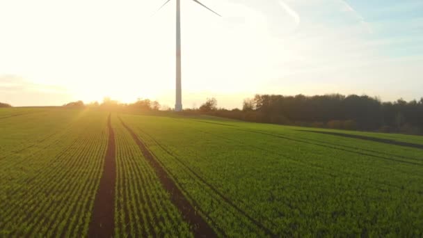 Drone Flight Green Fields Wind Turbines Sunrise — стоковое видео