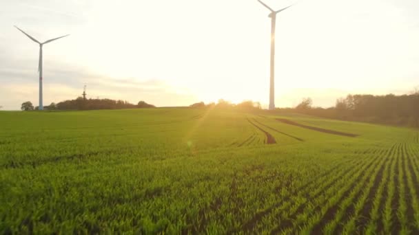 Drone Flight Green Fields Wind Turbines Sunrise — Αρχείο Βίντεο