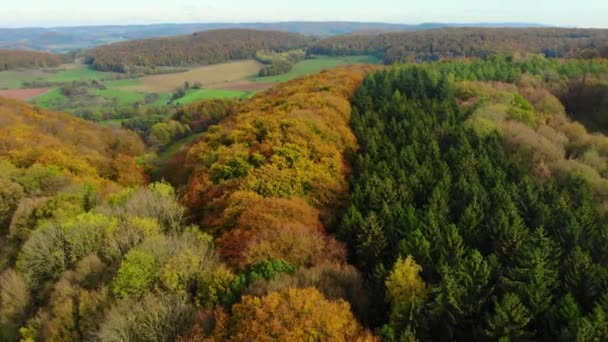 Drone Flight Beautiful Autumn Colored Forest Autumn Landscape — 图库视频影像