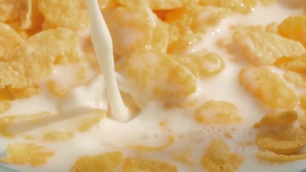 Corn Flakes Plate Milk Poured Flakes Slow Motion Close — Stockvideo